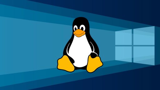 Используем подсистему Linux (WSL) в Windows 10 для разработки сайтов